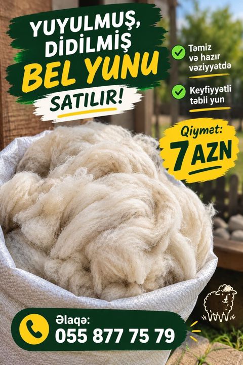 Məhsul: Yuyulmuş, didilmiş bel yunu Təsvir: - Təmizlənmiş və istifadə — Bakı