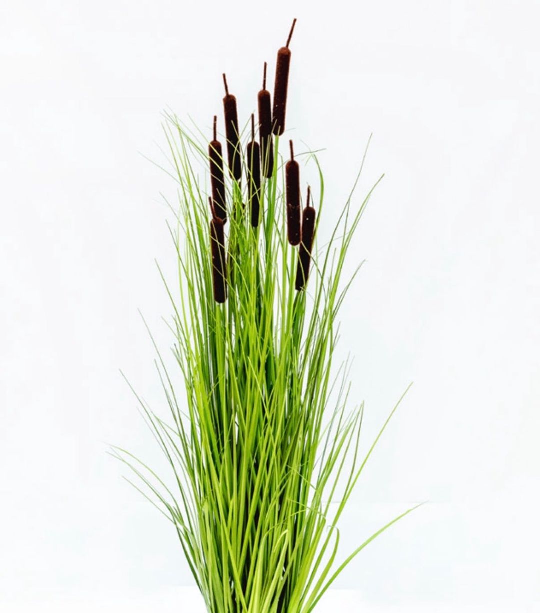 Dekorativ bitki 2679, plastik, yaşıl — Mallar, Bakı (2)