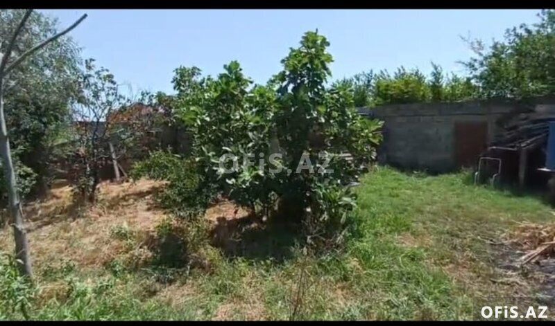 Torpaq Satılır Sabunçu r., Nardaran q., 6 sot — Torpaq, Bakı (5)