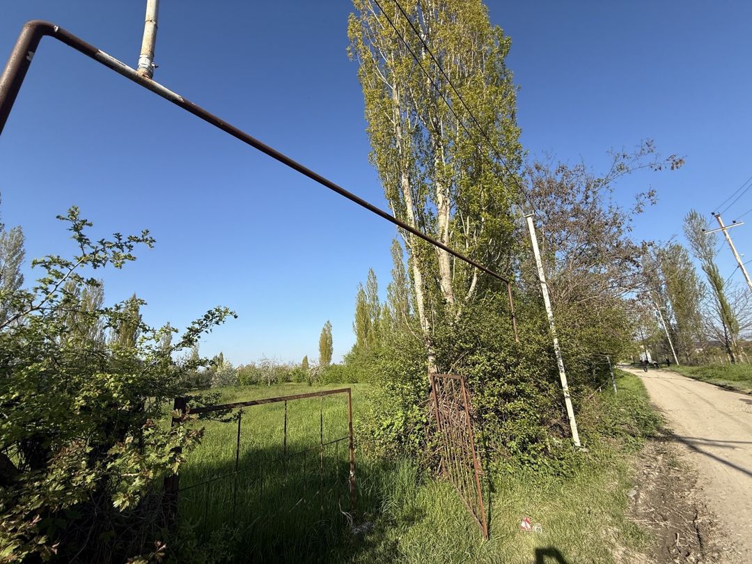 Satılır torpaq 3 sot — Torpaq, Qusar (3)