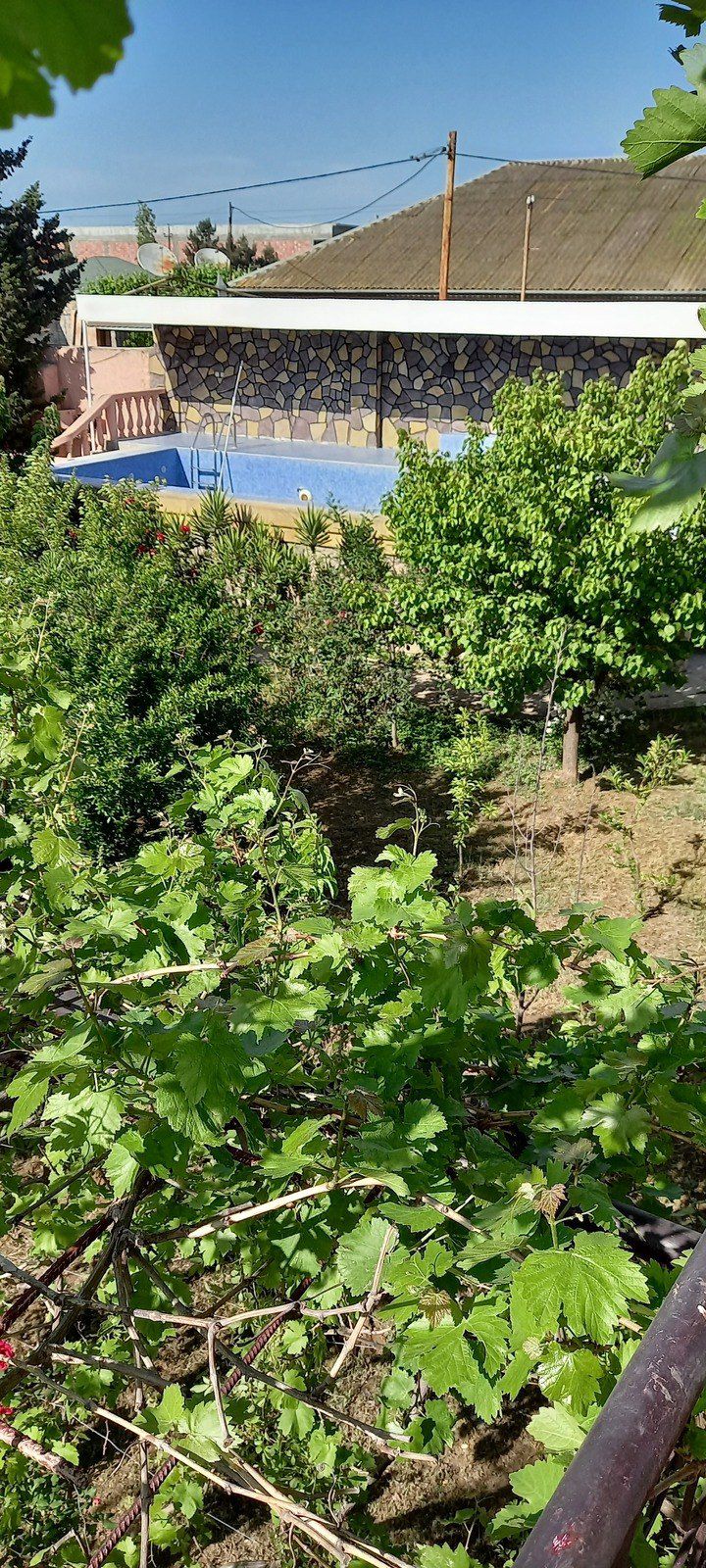 Satılır 5 otaqlı həyət evi/bağ evi 200 m² — Ev, villa, Bakı (12)