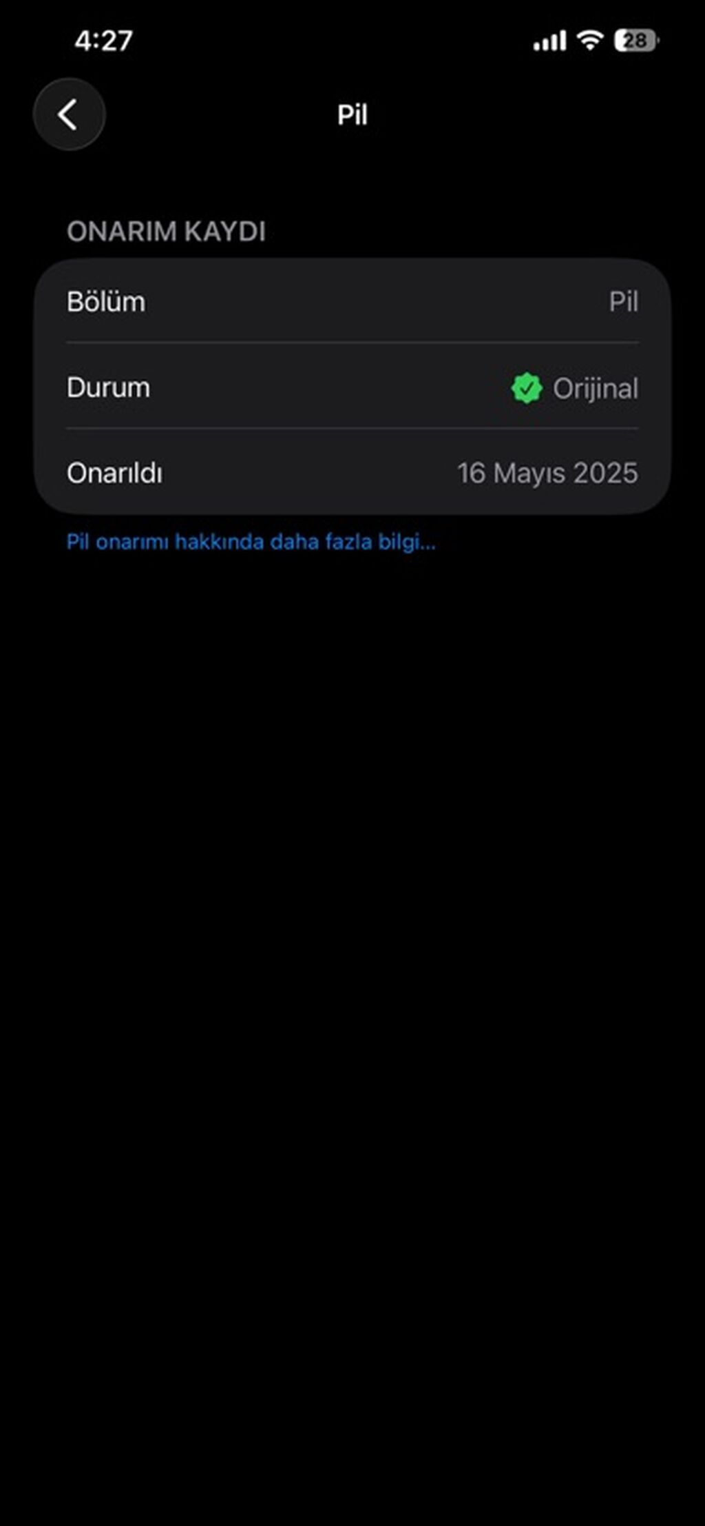 IPhone 12 Pro Max, 256 GB, Pacific Blue — Apple iPhone, Bakı (7)