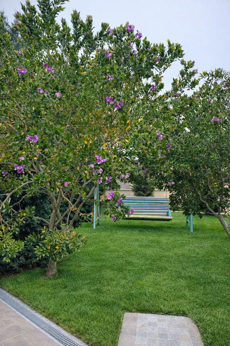 İcarəyə verilir 6 otaqlı həyət evi/bağ evi 250 m² — Ev, villa, Bakı (6)