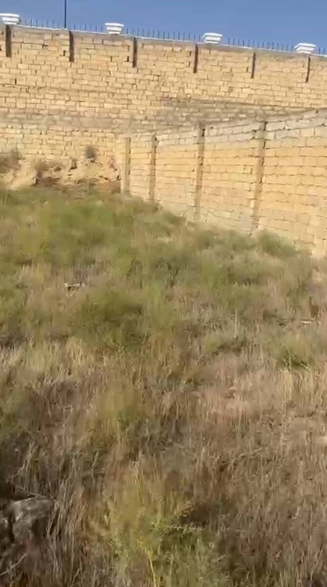 Satılır torpaq 17 sot — Torpaq, Bakı (4)