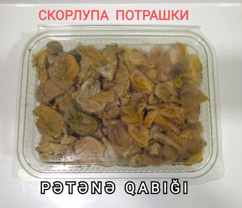 Pətənə qabığı — Bakı