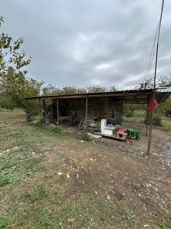 60 sot Torpaq Satılır, Qəbələ — Torpaq, Qəbələ (8)