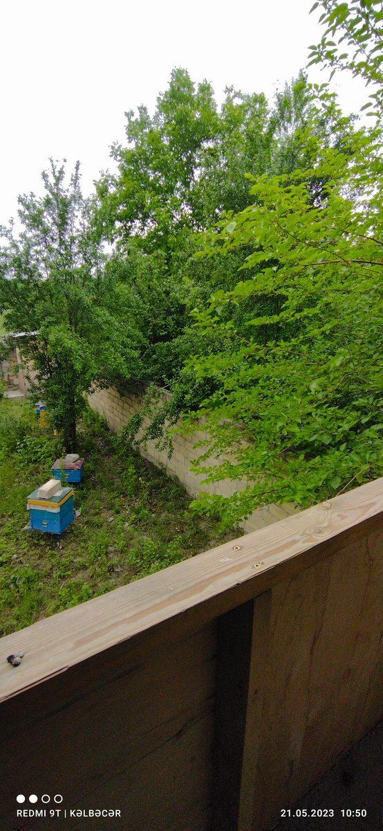 Satılır 7 otaqlı həyət evi/bağ evi 260 m² — Ev, villa, İsmayıllı (6)