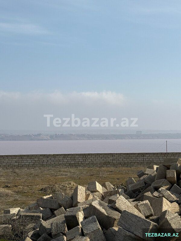 Villa badamin yani torpaq sahesi — Torpaq, Bakı (4)