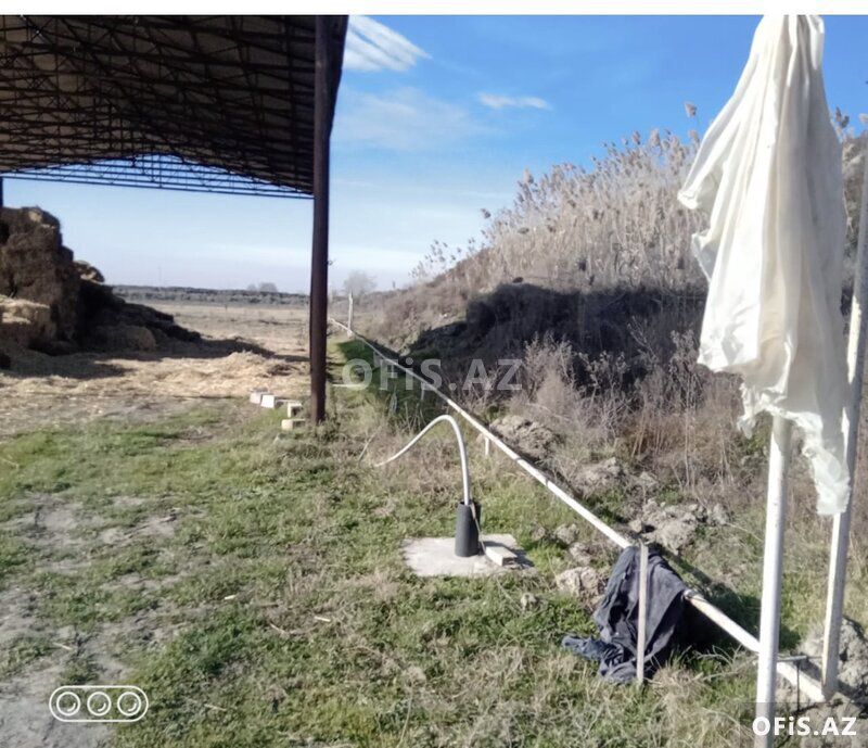Satılır Salyan, Salyan da, Ferma satılır, 10 otaq, 1000 m² — Ofis, Salyan (3)