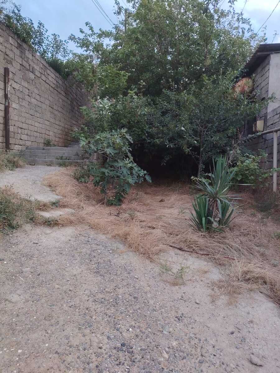 Satılır torpaq 9 sot — Torpaq, Bakı (4)