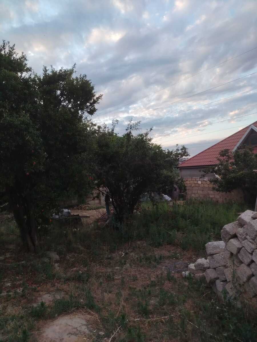 Satılır torpaq 9 sot — Torpaq, Bakı (8)
