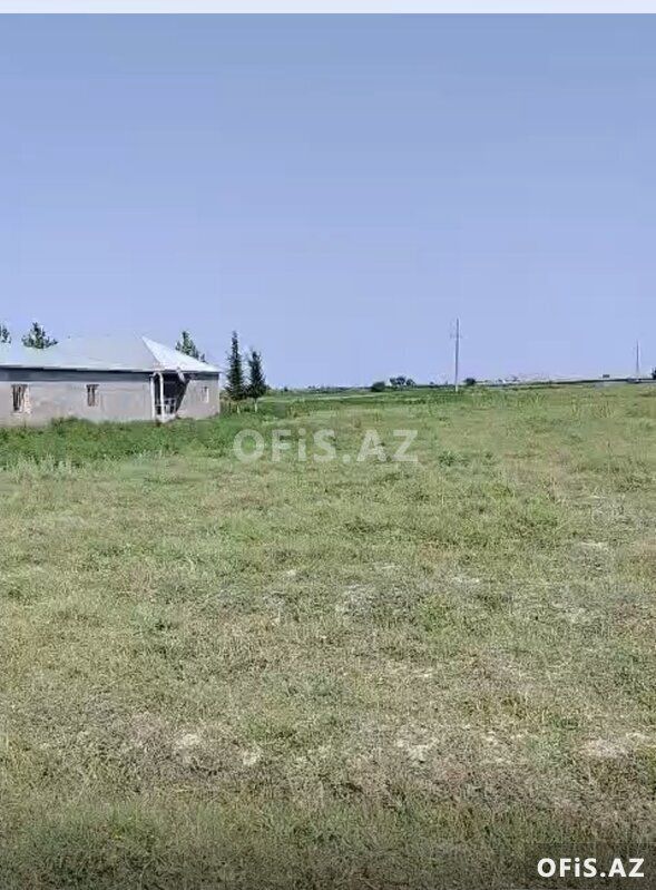 Satılır Salyan, Salyan da, Ferma satılır, 10 otaq, 1000 m² — Ofis, Salyan (7)