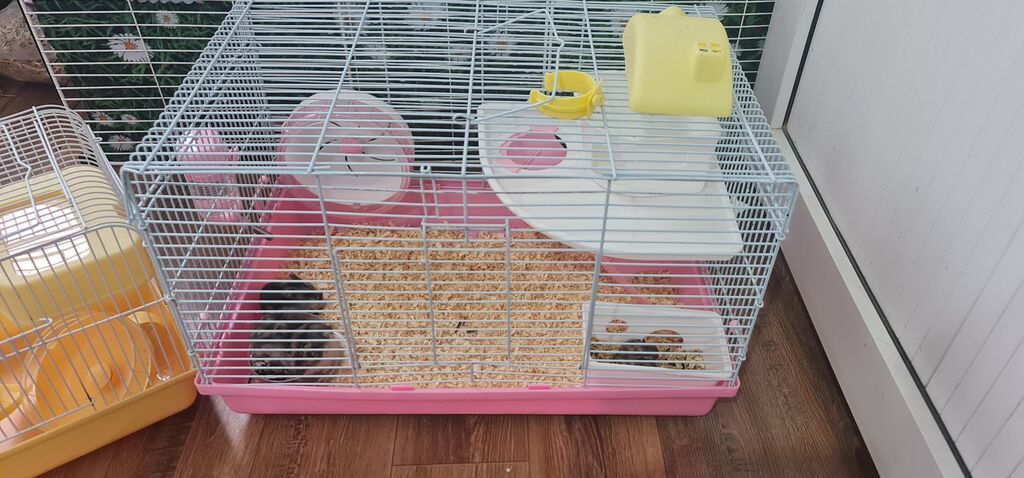 Cırtdan hamsterlər və tam avadanlıqlı qəfəs dəsti 2 qəfəs böyük və — Qəfəslər, Xırdalan (2)