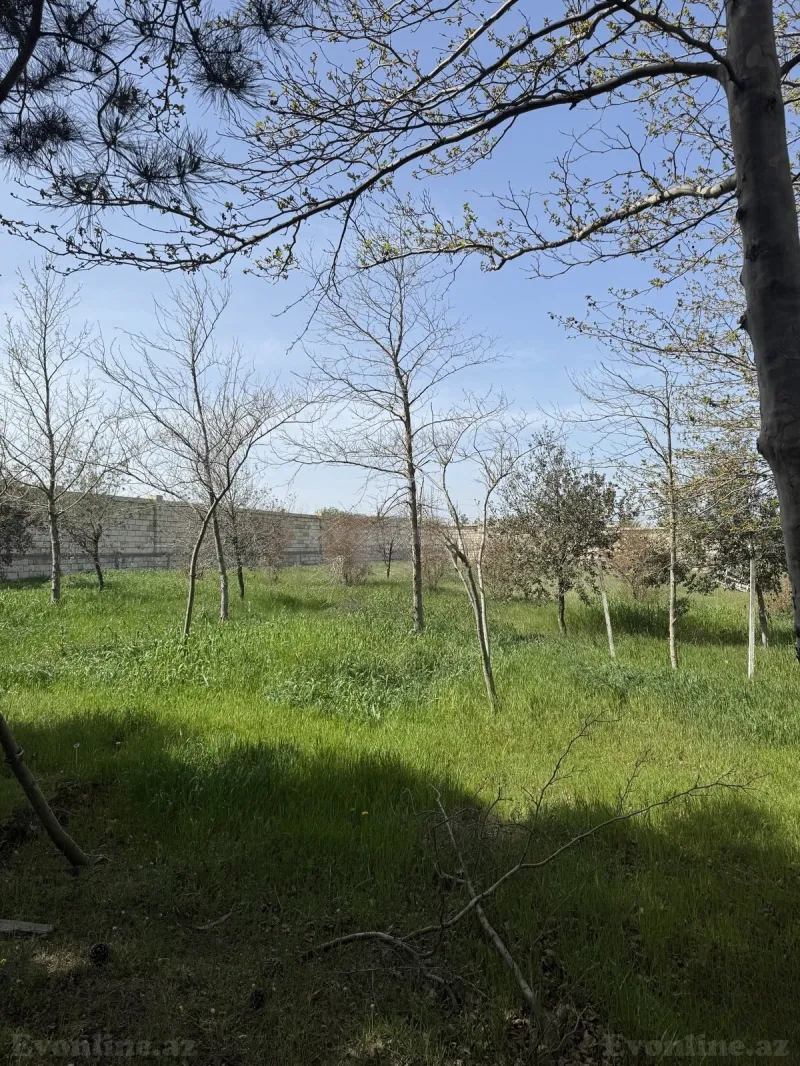 Satılır Torpaq 19 sot Bakı, Abşeron r., Masazır — Torpaq, Bakı (2)