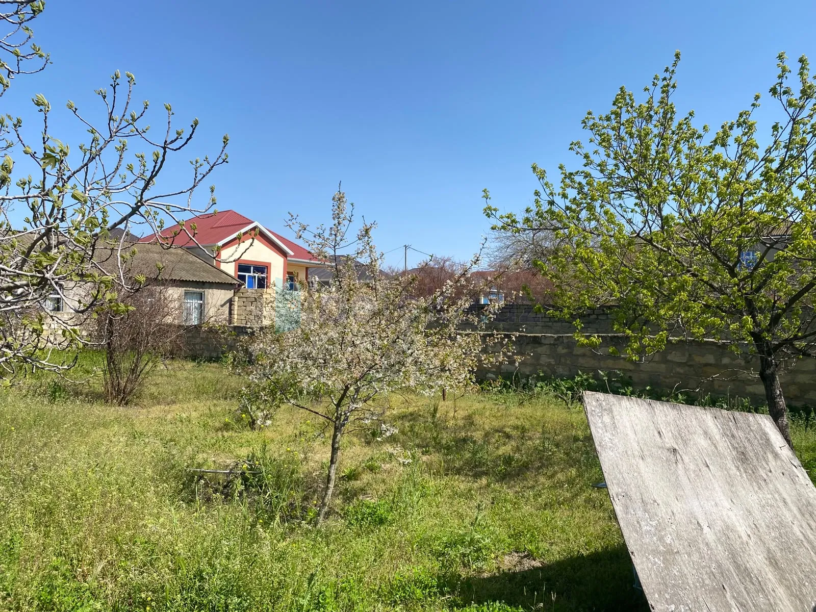 Satılır: Torpaq, Abşeron r., Saray q., 5.00 sot — Torpaq, Saray (9)