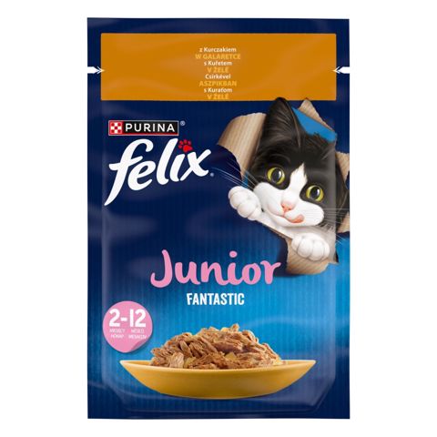 Felıx Fantastık toyuqlu pişik balaları üçün, 85 QR — Bakı
