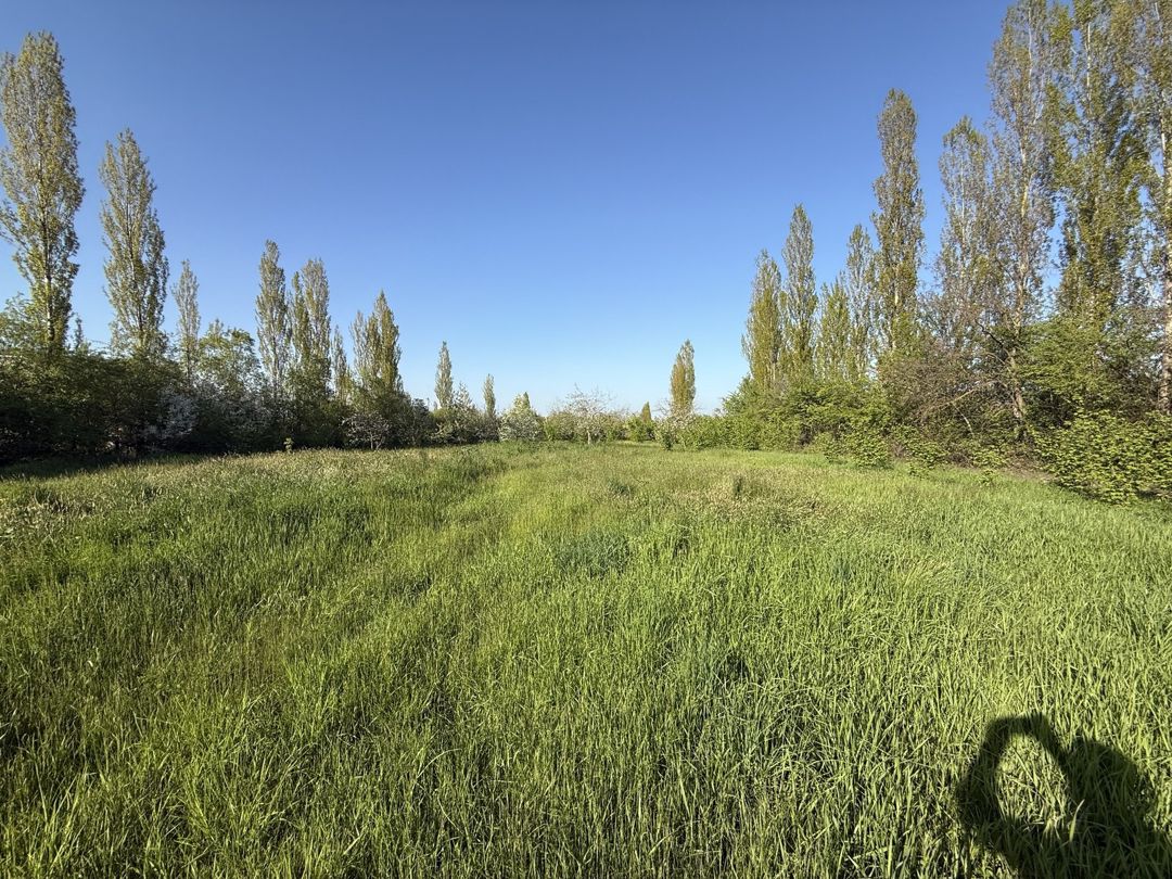 Satılır torpaq 3 sot — Torpaq, Qusar (2)