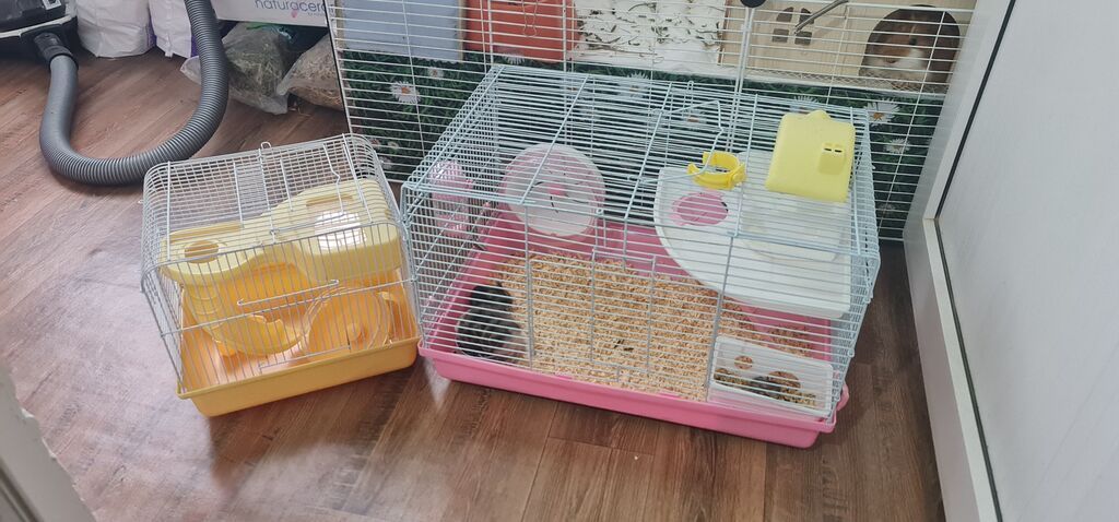 Cırtdan hamsterlər və tam avadanlıqlı qəfəs dəsti 2 qəfəs böyük və — Qəfəslər, Xırdalan (4)