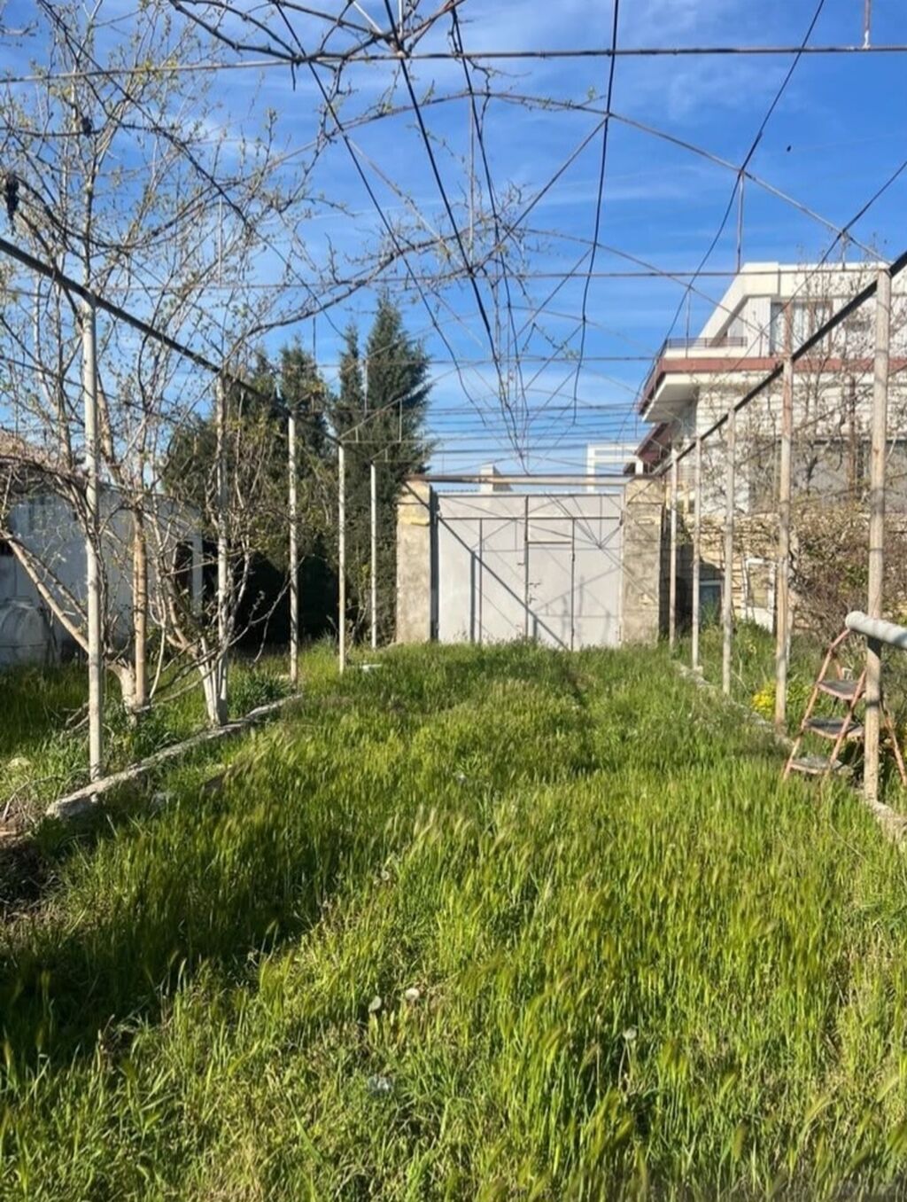 Tikinti — Torpaq, Bakı (4)