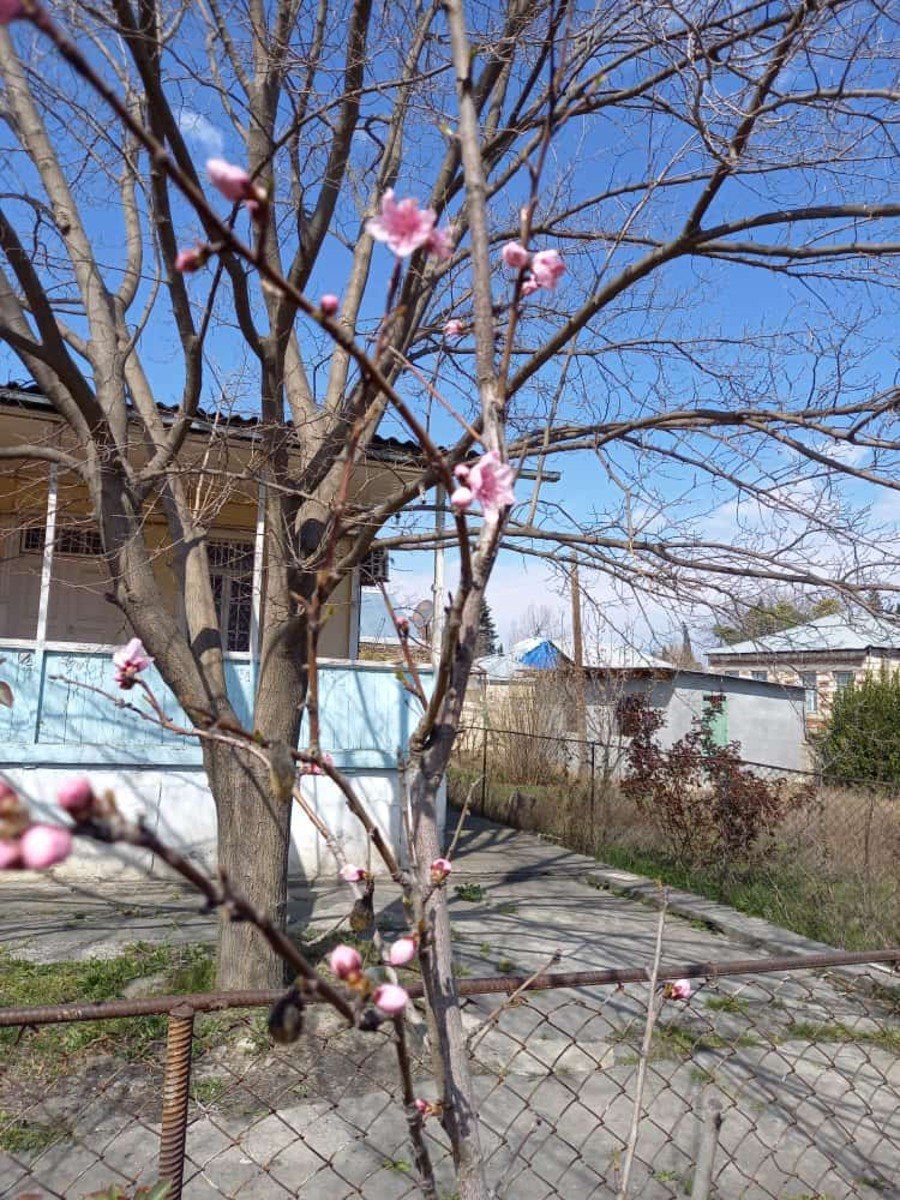 Satılır 5 otaqlı həyət evi/bağ evi 129.5 m² — Ev, villa, Tərtər (9)