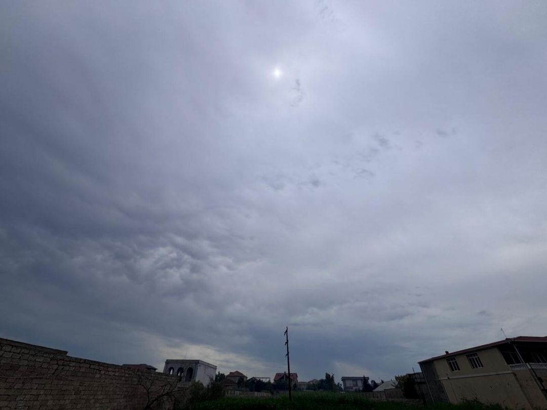 Satılır torpaq 24 sot — Torpaq, Bakı (8)
