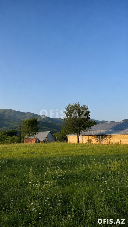 Torpaq Satılır İsmayıllı, Torpag satilr, 50 sot — Torpaq, İsmayıllı (2)