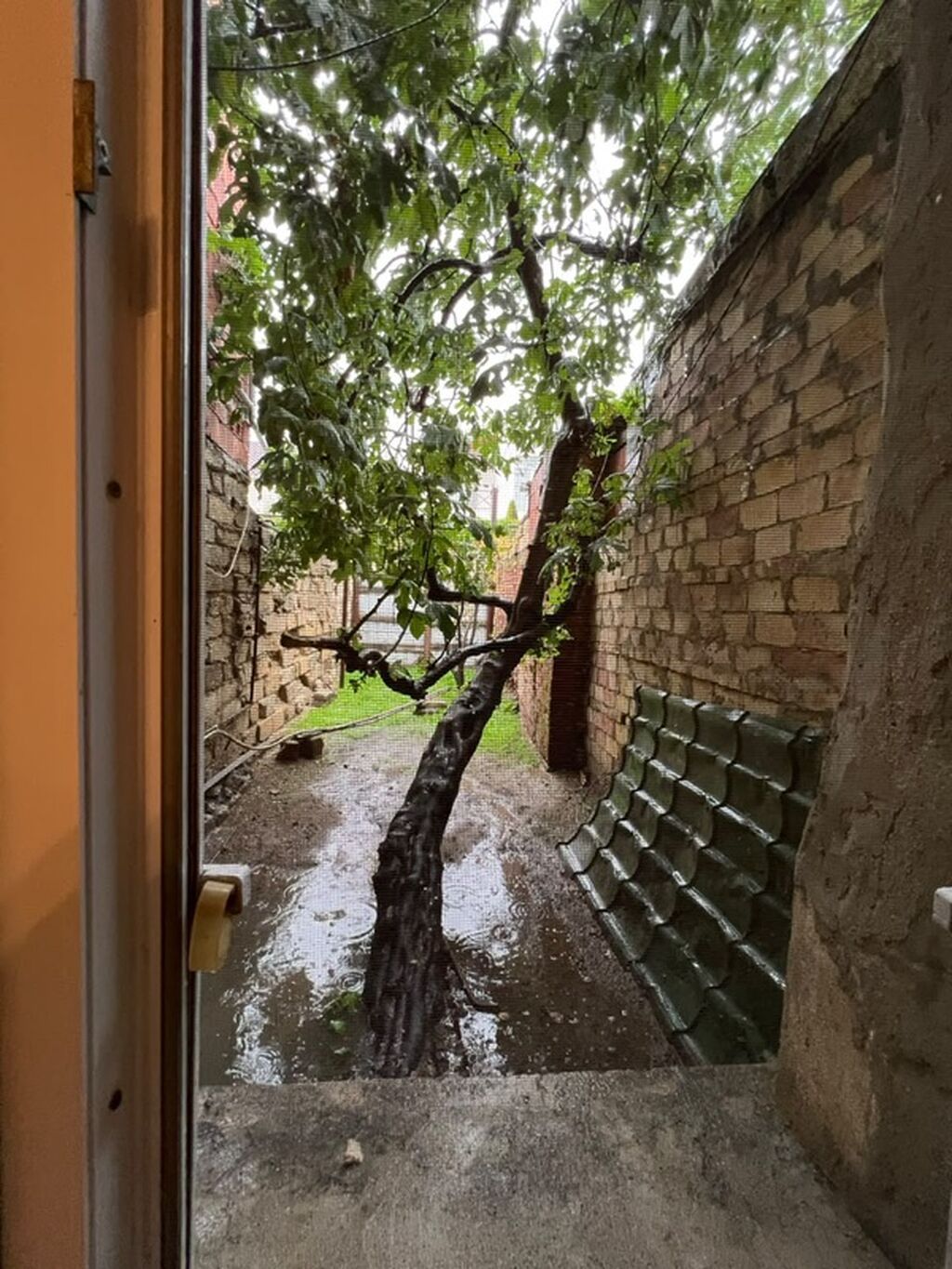 4 otaqlı, 4 kv. m — Ev, villa, Digah (8)