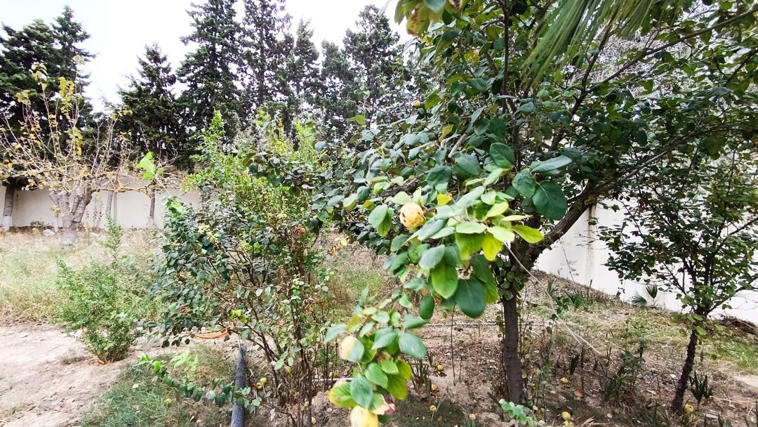 Satılır 6 otaqlı həyət evi/bağ evi 303 m² — Ev, villa, Bakı (11)