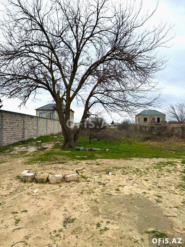 Torpaq Satılır Sabunçu r., Nardaran q., 19 sot — Torpaq, Bakı (4)