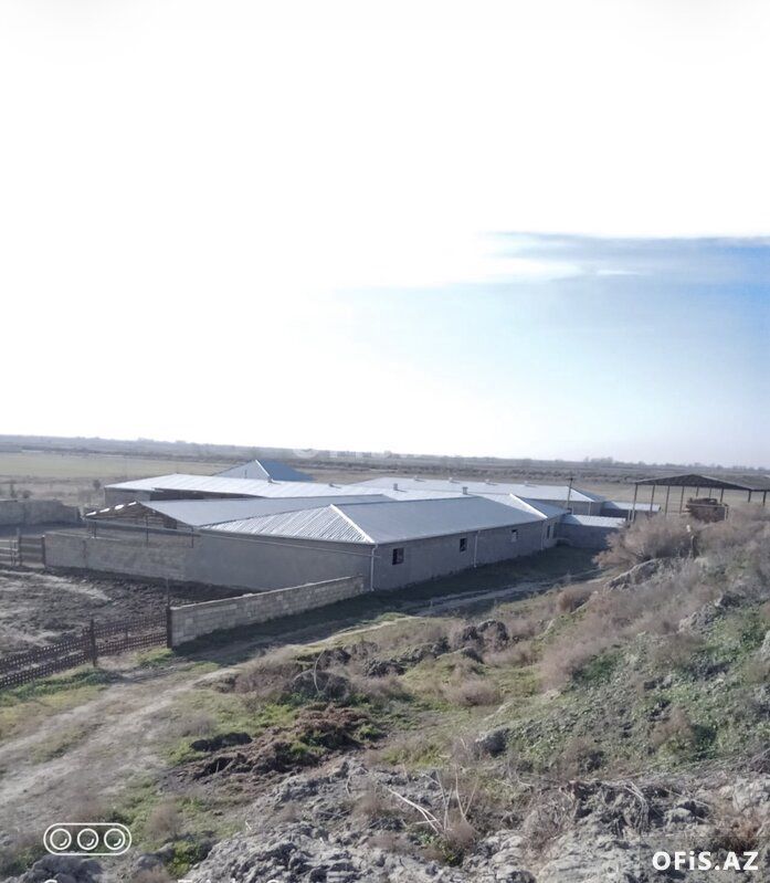 Satılır Salyan, Salyan da, Ferma satılır, 10 otaq, 1000 m² — Ofis, Salyan