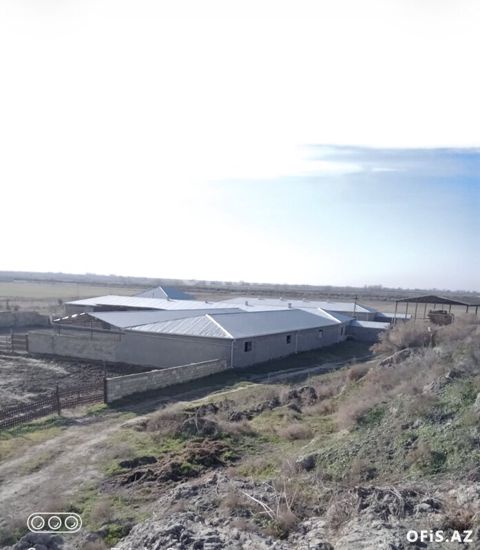 Satılır Salyan, Salyan da, Ferma satılır, 10 otaq, 1000 m² — Salyan