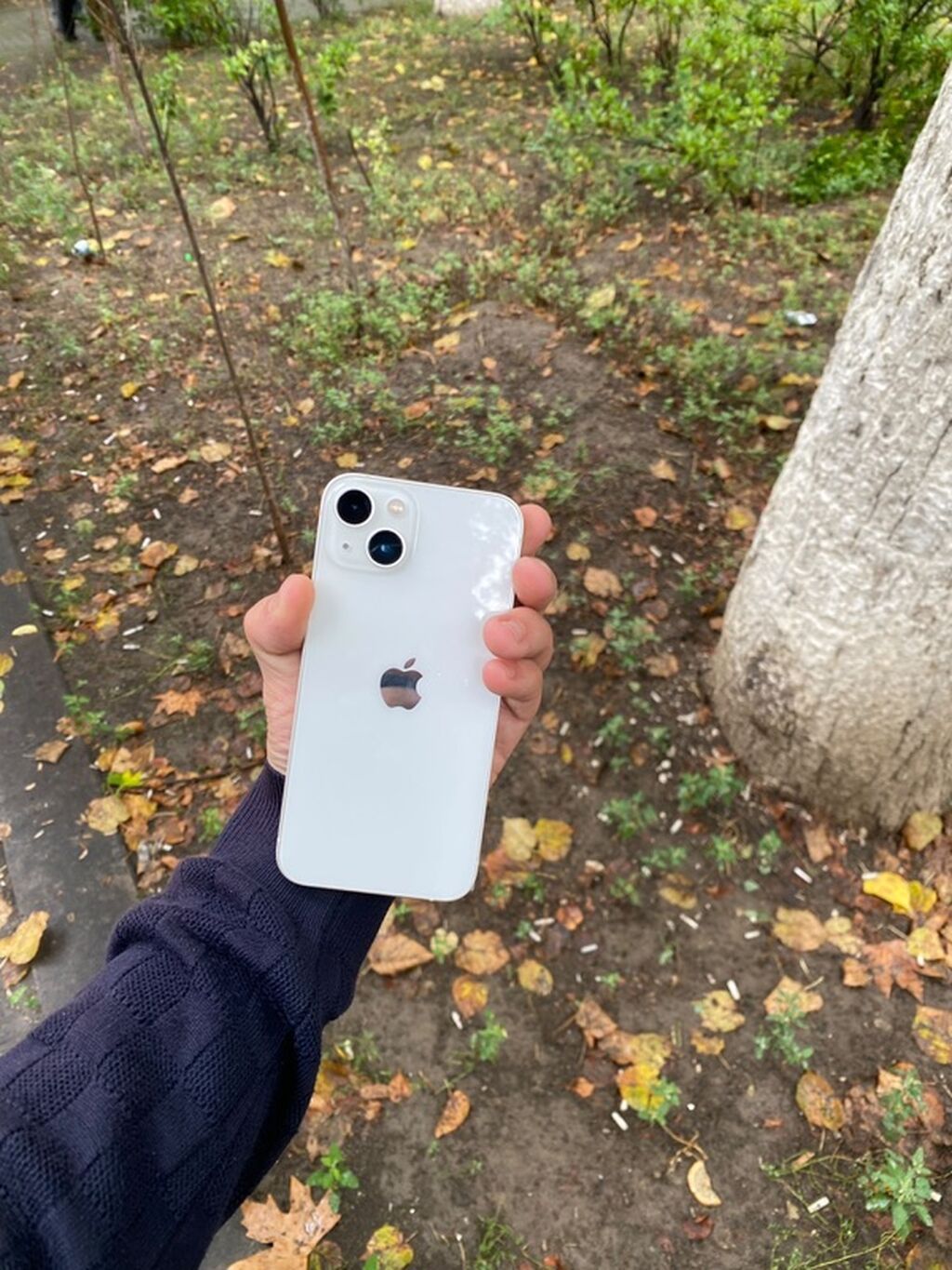 IPhone 13, 128 GB, Ağ, Face ID — Apple iPhone, Qazax (3)