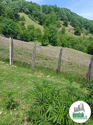 Satılır 9 sot torpaq Lerik — Torpaq (4)