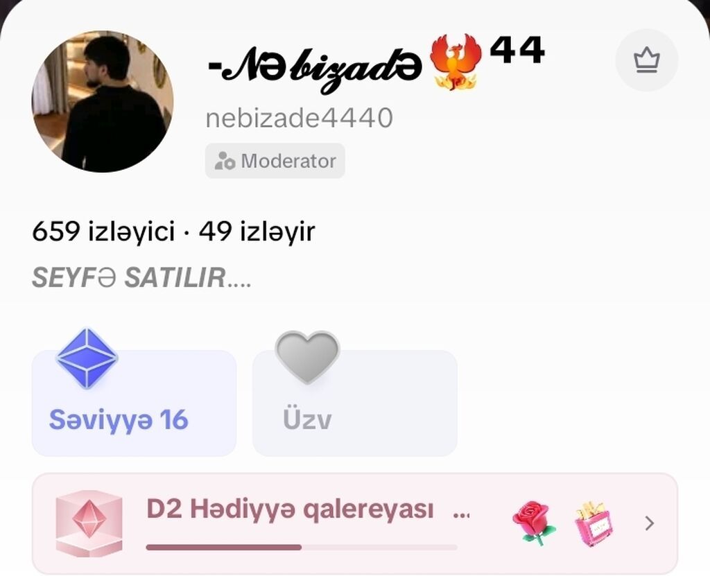 Sosial şəbəkə profili satılır Platforma: qısa video sosial şəbəkəsi — Foto, video xidmətləri, Sanqaçal