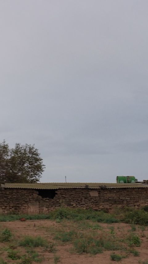 Satılır torpaq 7 sot — Bakı