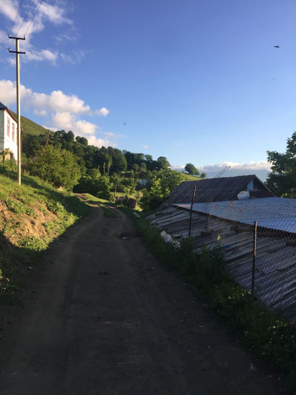 10 sot, Tikinti, Mülkiyyətçi, Kupça (Çıxarış) — Torpaq, Gədəbəy (5)