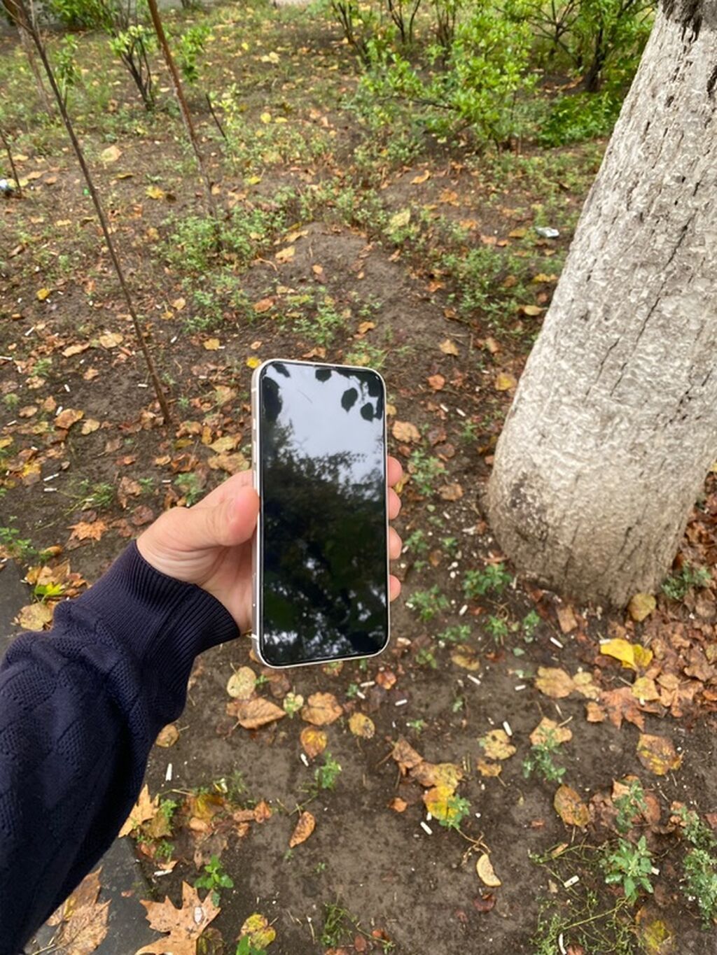 IPhone 13, 128 GB, Ağ, Face ID — Apple iPhone, Qazax