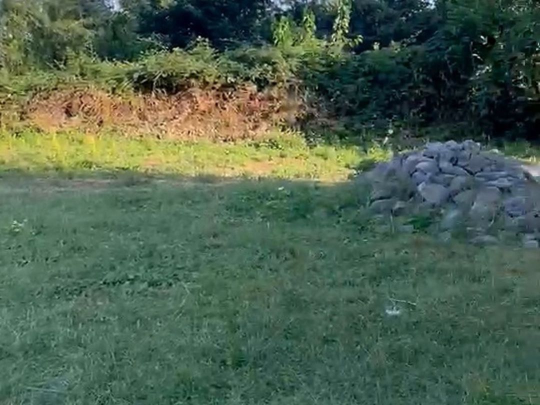 Satılır torpaq 25 sot — Torpaq, Qəbələ (9)