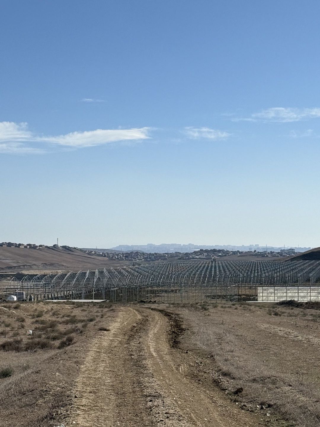 Satılır torpaq 125 sot — Torpaq, Bakı (9)