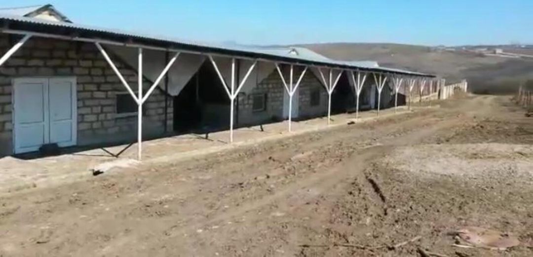Satılır torpaq 5 sot — Torpaq, Şamaxı (7)