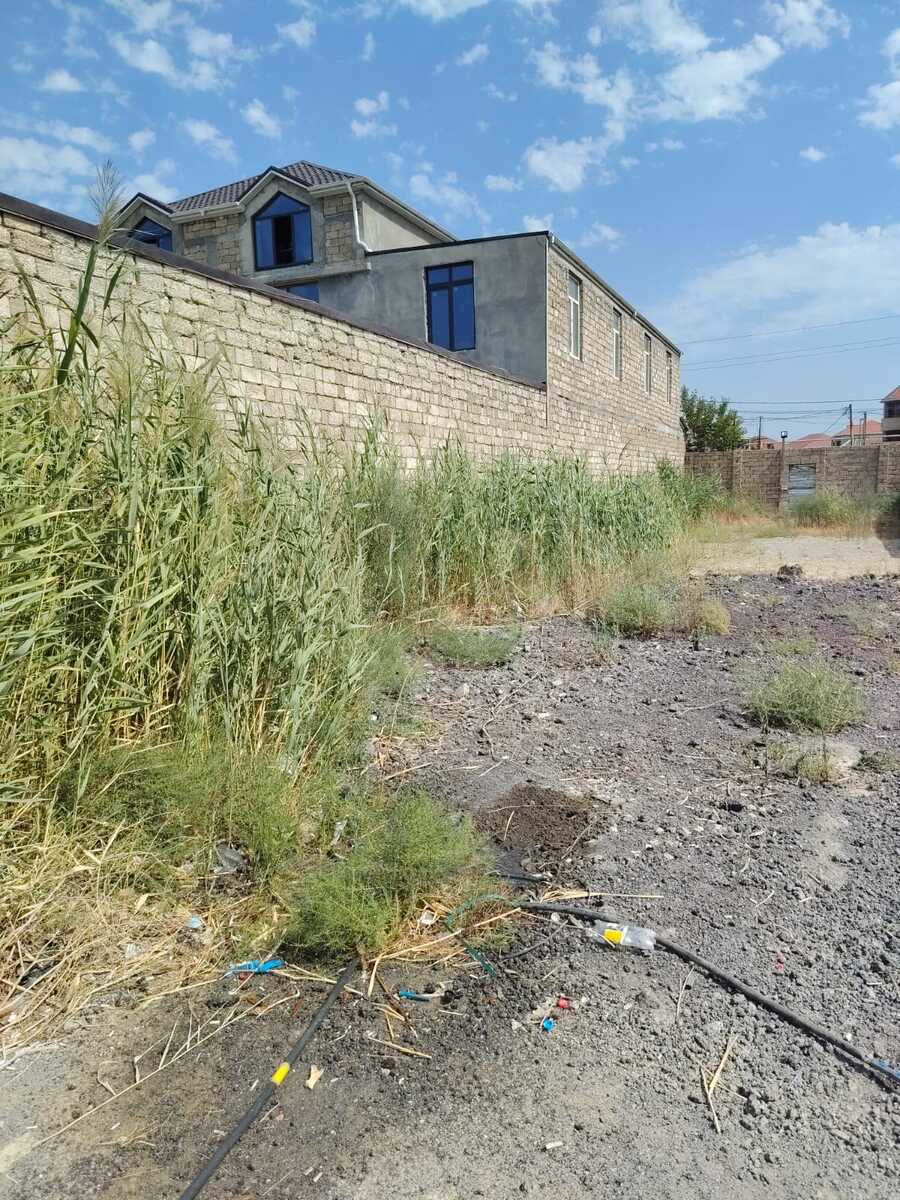 Satılır torpaq 3 sot — Torpaq, Bakı (2)