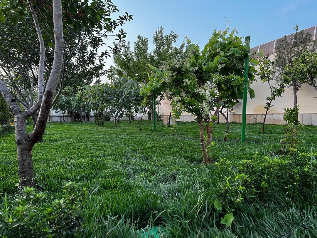 İcarəyə verilir 5 otaqlı həyət evi/bağ evi 200 m² — Ev, villa, Bakı (11)