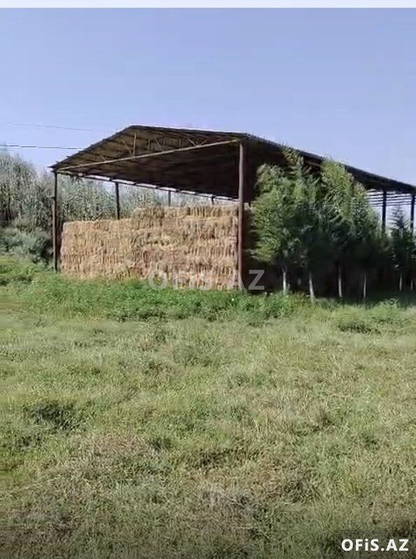 Satılır Salyan, Salyan da, Ferma satılır, 10 otaq, 1000 m² — Ofis, Salyan (8)