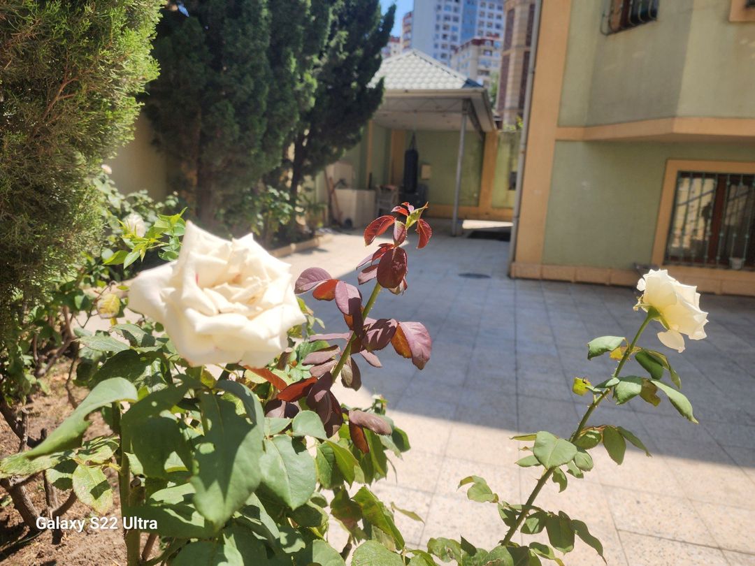 Satılır 8 otaqlı həyət evi/bağ evi 315 m² — Ev, villa, Bakı (2)