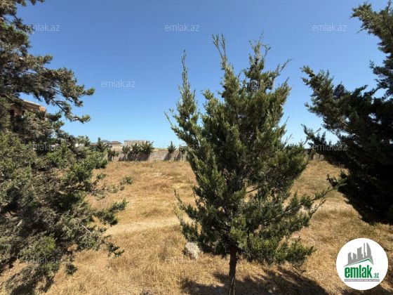 Satılır 27.5 sot torpaq Şüvəlan — Torpaq (5)