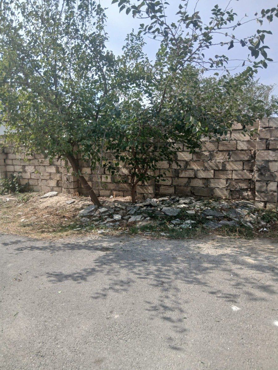 Satılır torpaq 10 sot — Torpaq, Bakı (2)