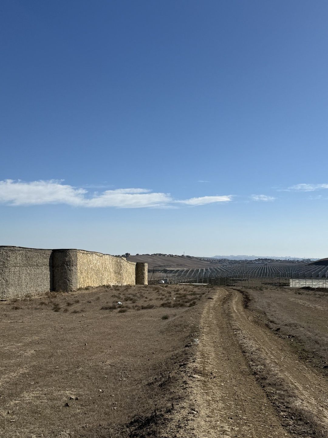 Satılır torpaq 125 sot — Torpaq, Bakı (11)