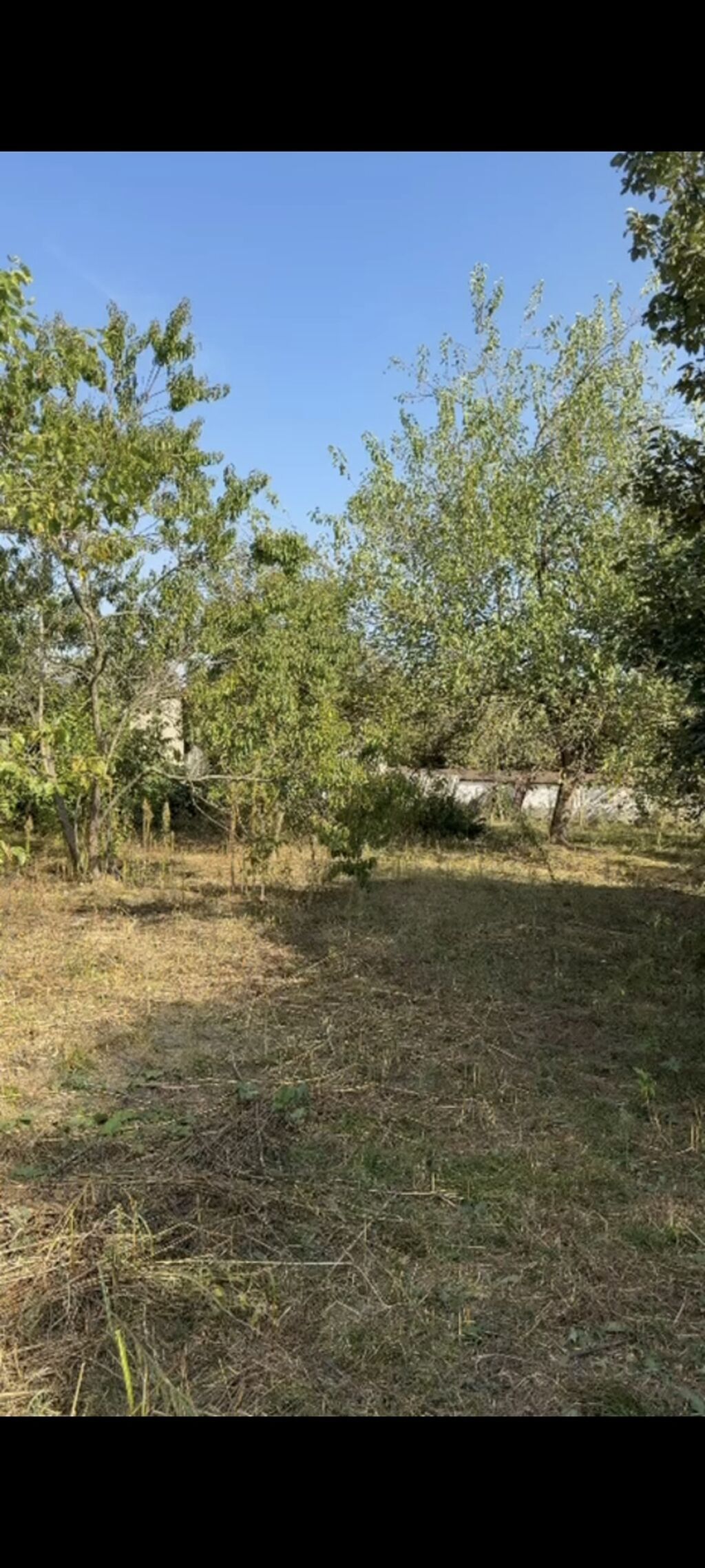 21 sot, Tikinti, Mülkiyyətçi, Kupça (Çıxarış) — Torpaq, Qəbələ (4)