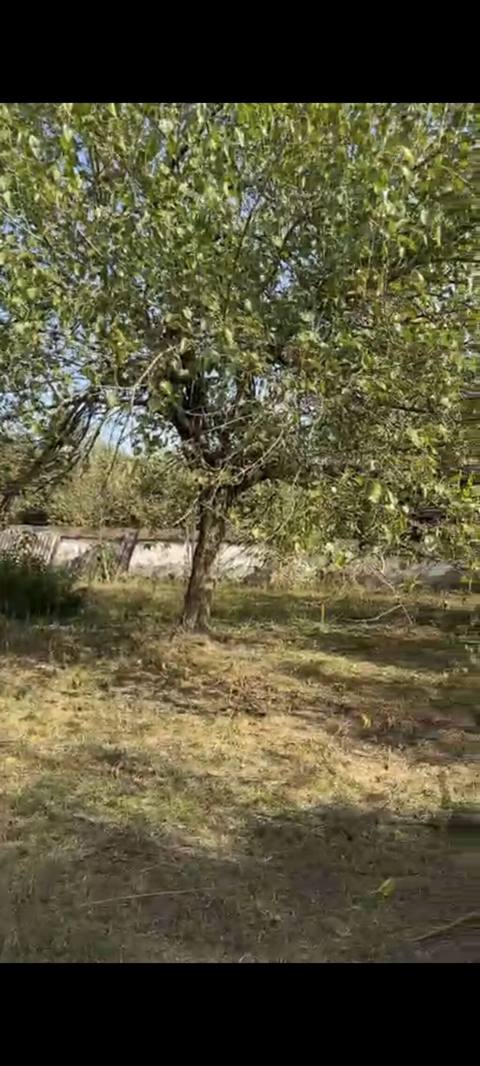 21 sot, Tikinti, Mülkiyyətçi, Kupça (Çıxarış) — Qəbələ