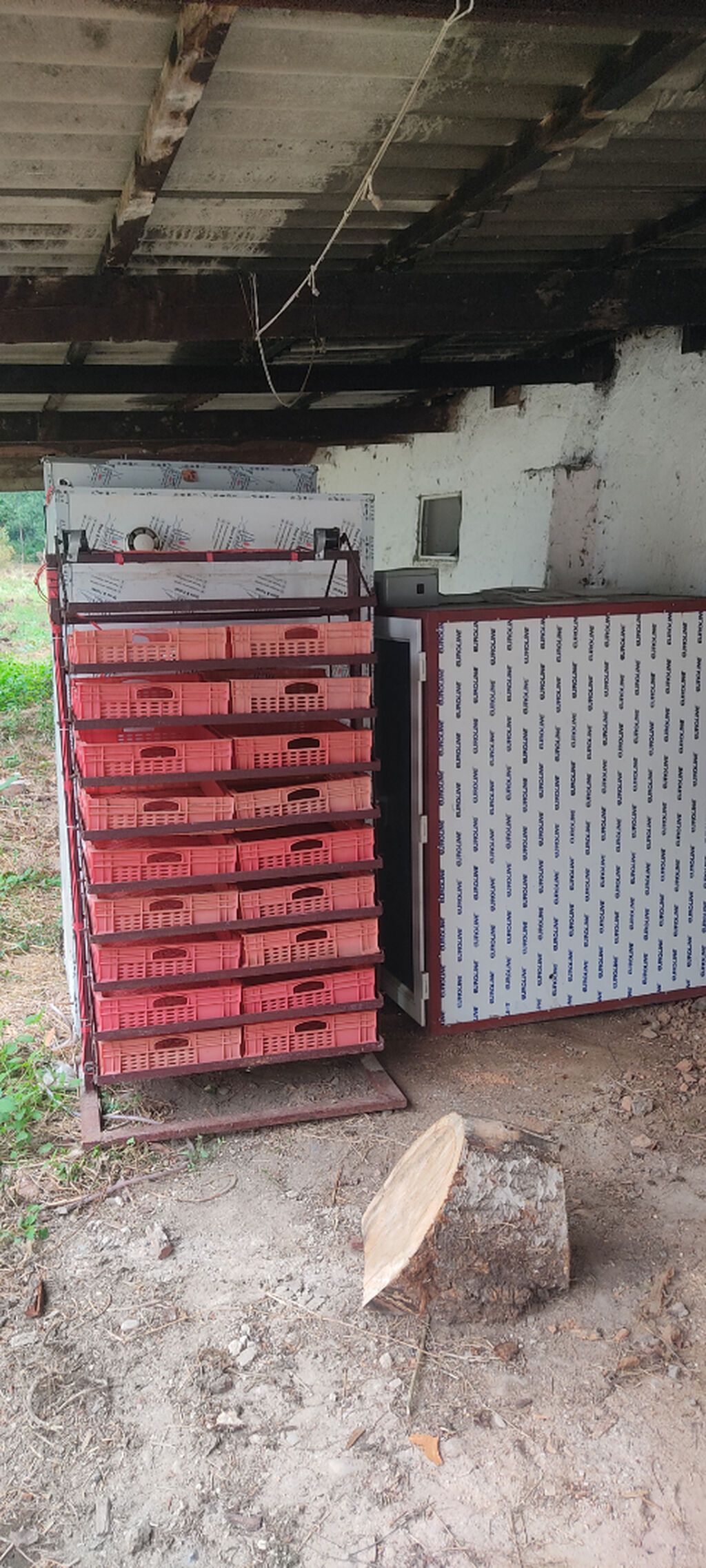 1100 yumurta, Bütün növ quşlar üçün — Kənd təsərrüfatı avadanlığı, Xudat (3)